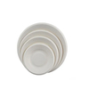 Customized ST-PC Biodegradable Sugarcane Pulp Party Plate
