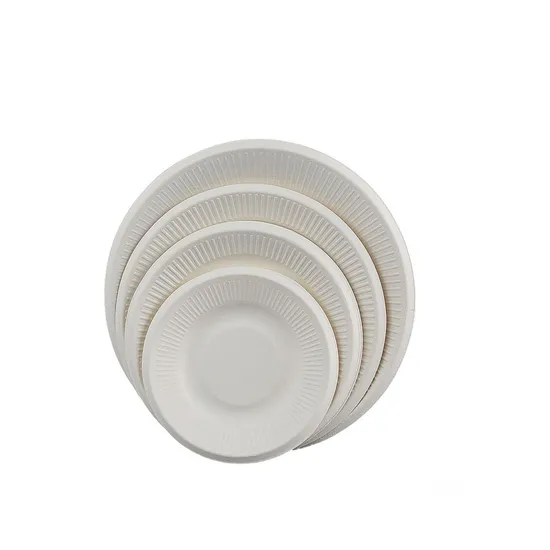 Customized ST-PC Biodegradable Sugarcane Pulp Party Plate