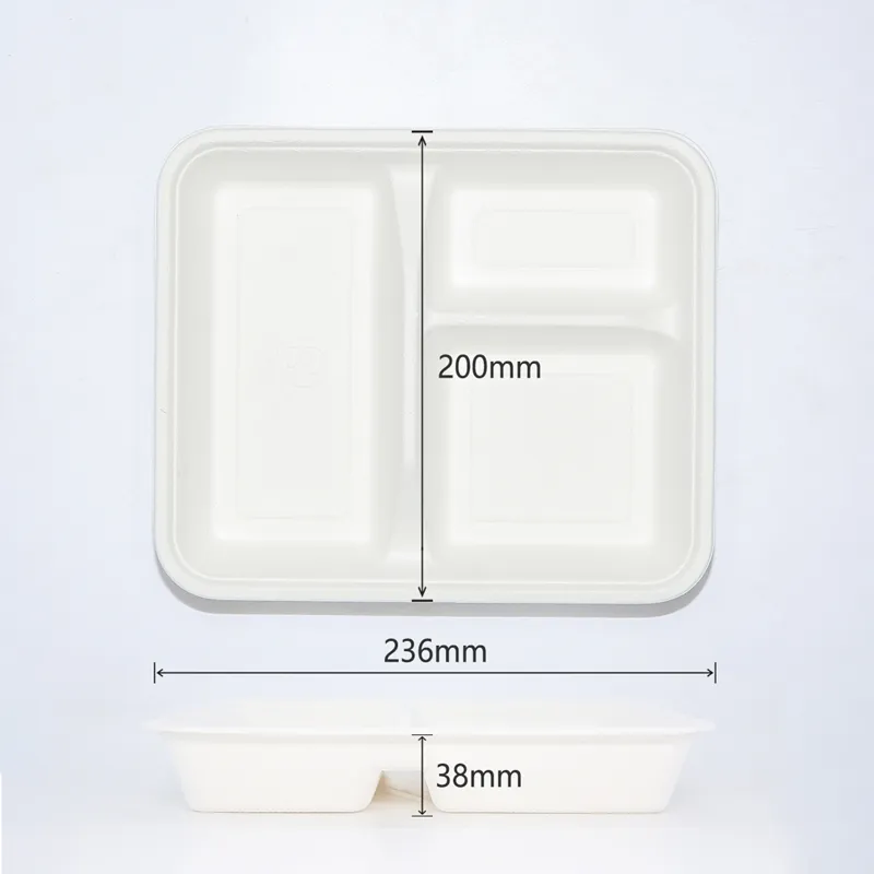 Top view of eco-friendly unbleached sugarcane pulp food tray