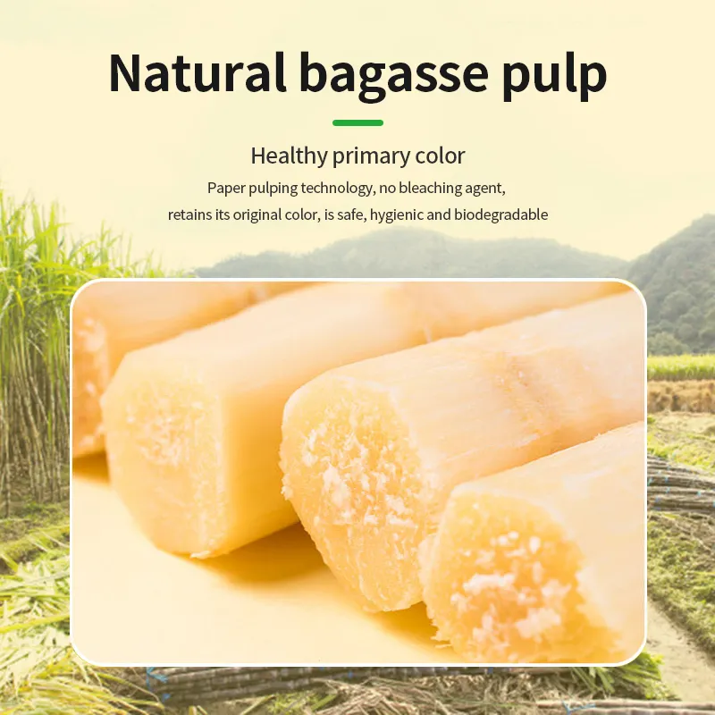 Sugarcane bagasse tableware used in restaurant and aviation catering scenarios