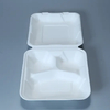 Biodegradable ST-C Sugarcane Bagasse Clamshell Food Container