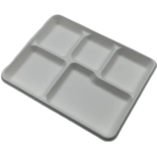 Eco-Friendly Biodegradable Sugarcane Bagasse Tableware BIOHS-BT