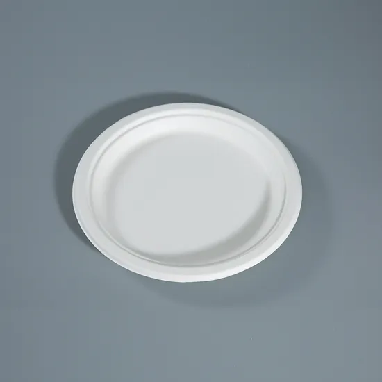9 Inch Sugarcane Bagasse Pulp Round Plates - Compostable Biodegradable Tableware