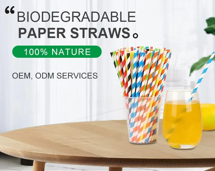 Premium biodegradable 6mm paper straws designed for commercial foodservice applications