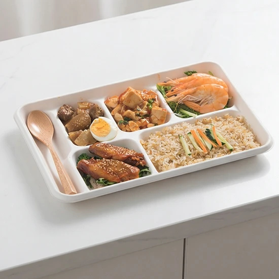 Biodegradable 6-Compartment Food Container Trays BIOHS-BT6 for School