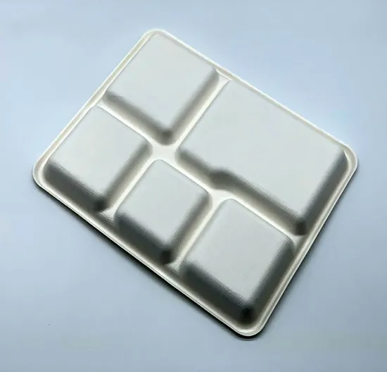 Eco-Friendly Biodegradable Sugarcane Bagasse Tableware BIOHS-BT
