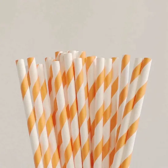 Eco-Friendly Biodegradable 6mm Paper Straws BIOHS-PS for Restaurants