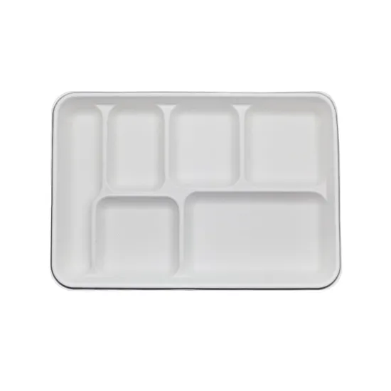 Biodegradable 6-Compartment Food Container Trays BIOHS-BT6 for School