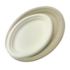 ST-PO Biodegradable Sugarcane Pulp Oval Plates for Eco-Friendly Dining