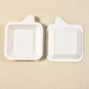 Customized ST-PC Biodegradable Sugarcane Pulp Party Plate