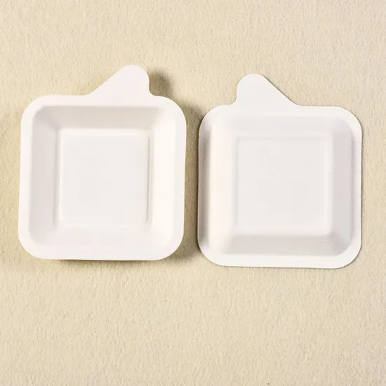 Customized ST-PC Biodegradable Sugarcane Pulp Party Plate