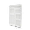 Biodegradable 6-Compartment Food Container Trays BIOHS-BT6 for School