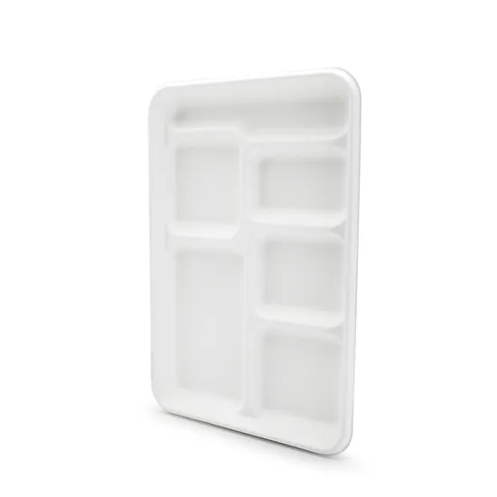 Biodegradable 6-Compartment Food Container Trays BIOHS-BT6 for School