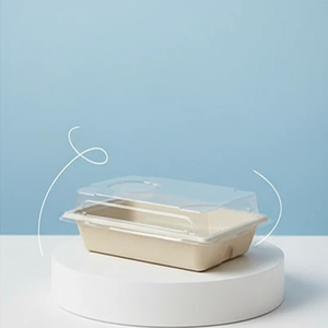 Biodegradable Disposable Sushi Tray with Anti-Fog Lid