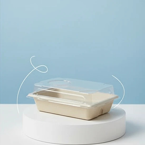Biodegradable Disposable Sushi Tray with Anti-Fog Lid