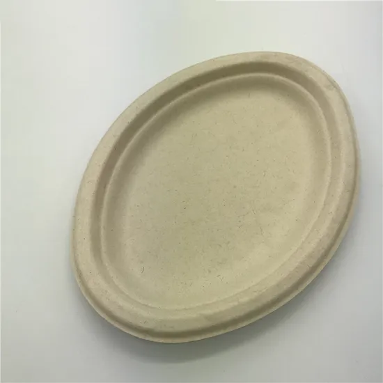 ST-PO Biodegradable Sugarcane Pulp Oval Plates for Eco-Friendly Dining