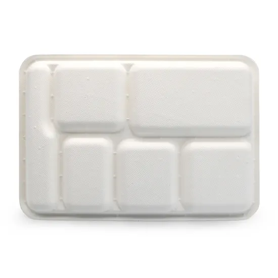 Biodegradable 6-Compartment Food Container Trays BIOHS-BT6 for School