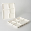 Eco-Friendly Biodegradable Sugarcane Bagasse Tableware BIOHS-BT