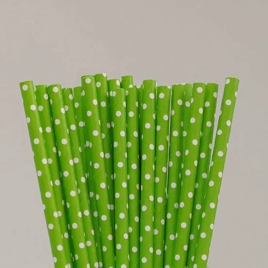 Eco-Friendly Biodegradable 6mm Paper Straws BIOHS-PS for Restaurants