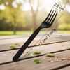 BIOHS-CPLA Heavy Weight Compostable CPLA Cutlery Long Handle Disposable