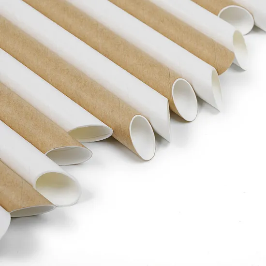 BIOHS-PS Custom Printed Biodegradable Paper Straws for Restaurants