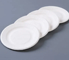 Customized ST-PC Biodegradable Sugarcane Pulp Party Plate