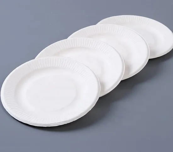 Customized ST-PC Biodegradable Sugarcane Pulp Party Plate