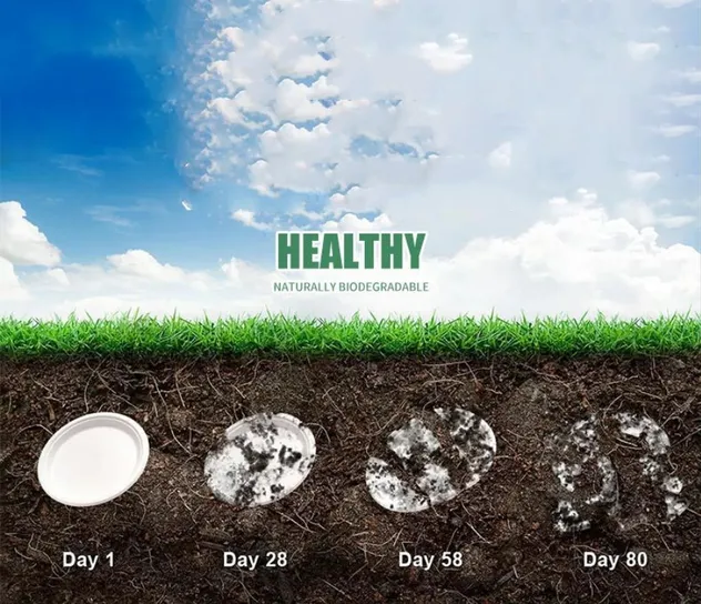 Multiple sizes of biodegradable sugarcane plates arranged beautifully for catering display
