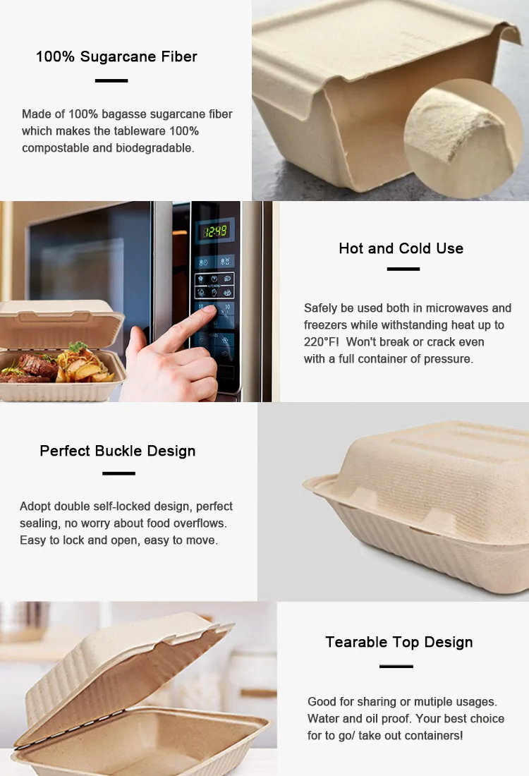Eco-friendly sugarcane bagasse clamshell food container showing natural fiber texture and virgin color
