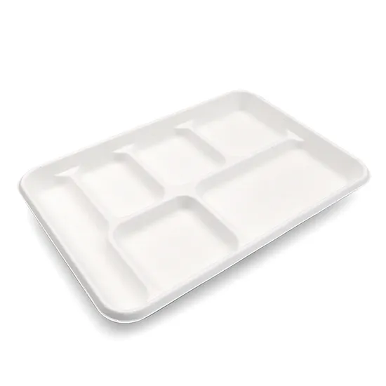 Biodegradable 6-Compartment Food Container Trays BIOHS-BT6 for School