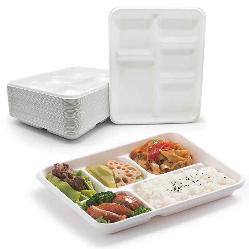 Food-grade safe sugarcane pulp material for disposable food containers highlighting eco-friendly texture