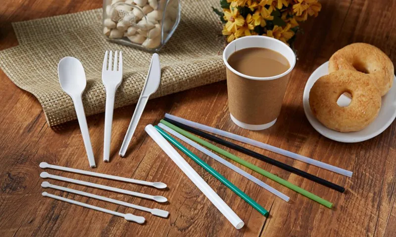 Eco-friendly biodegradable PLA plastic flatware showing smooth matte finish and sturdy design