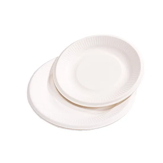 Customized ST-PC Biodegradable Sugarcane Pulp Party Plate