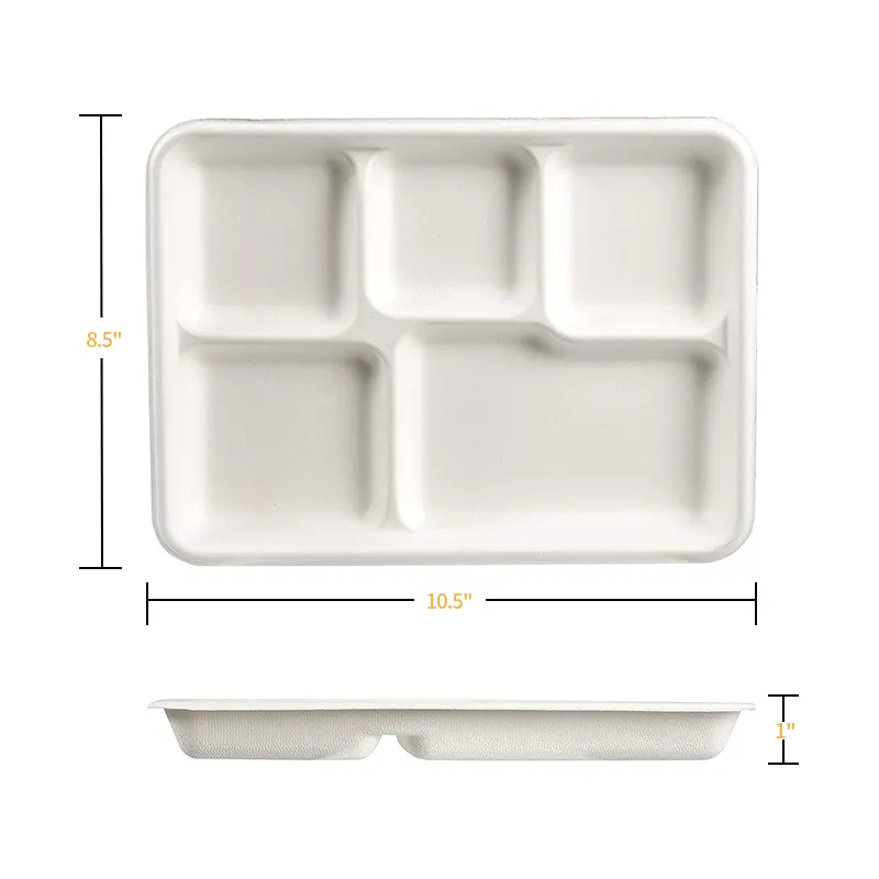 Various sizes of sugarcane bagasse food containers and compartment trays for restaurant supplies